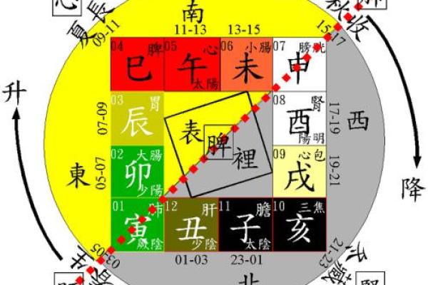 解析1971寅时出生者的命格特点与命运走向 解析1971寅时出生者的命格特点与命运走向