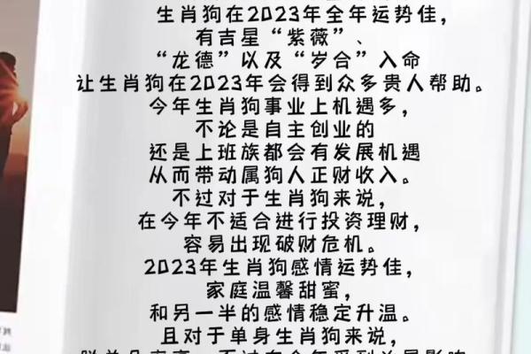 2023年属狗女孩命运解析：寻找最佳命格与生活道路