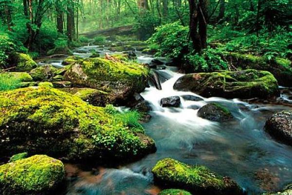 探秘涧下水命：十月出生的独特命理之旅