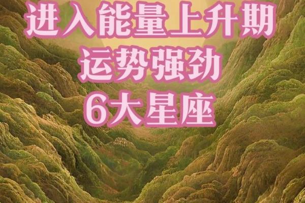 根据命格选择最佳方位,提升运势和生活品质! 根据命格选择最佳方位,提升运势和生活品质!