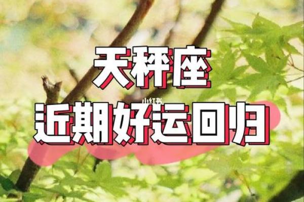 八三年出生的人该戴什么,命理揭秘带你走向好运! 八三年出生的人该戴什么,命理揭秘带你走向好运!