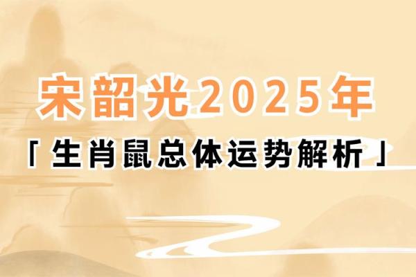 2024年属相解析:揭秘属鼠人的命运与运势波动 2024年属相解析:揭秘属鼠人的命运与运势波动
