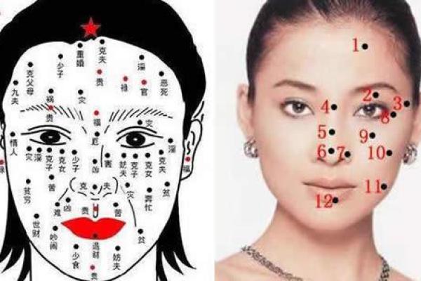 揭秘背部对称痣的命理智慧:解读人生的秘密与幸运之道 揭秘背部对称痣的命理智慧:解读人生的秘密与幸运之道