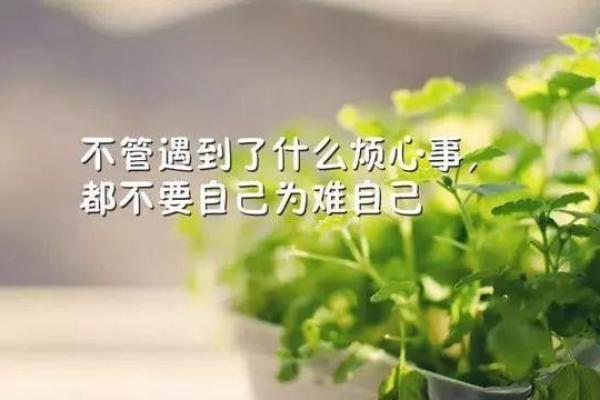 腊月30天的命运解析:揭秘生命的最后一扇窗 腊月30天的命运解析:揭秘生命的最后一扇窗