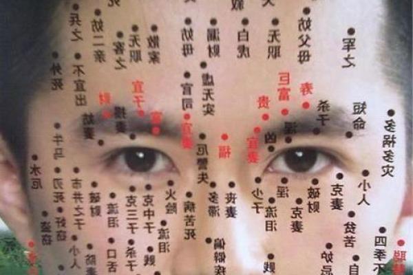 揭晓痣图解:痣的位置与命运之间的秘密联系 揭晓痣图解:痣的位置与命运之间的秘密联系