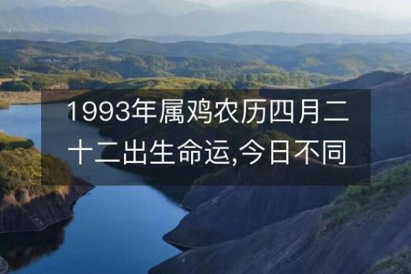 2019年属鸡人命运解读：了解你的五行与人生道路