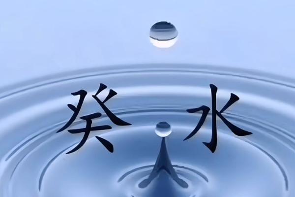 水命之人适合养什么？揭秘水命人理想的宠物与植物选择