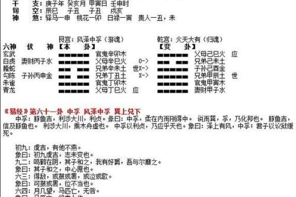 命理学在考研中最适合的专业选择与发展方向解析