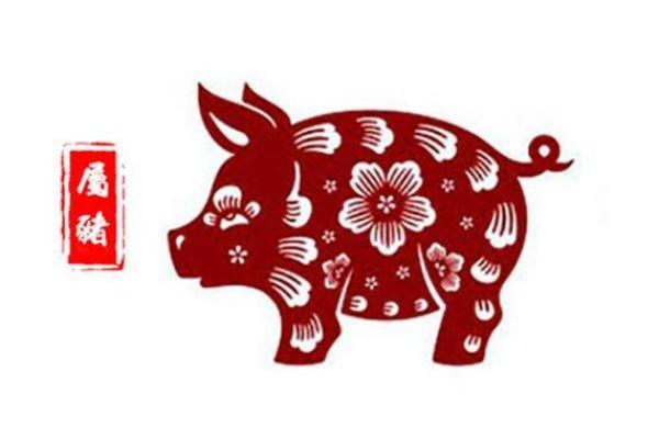 揭秘2023年48岁属猪命的命理特征与运势分析 揭秘2023年48岁属猪命的命理特征与运势分析