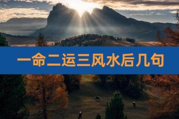 草神命座一命的神秘力量与实际应用 草神命座一命的神秘力量与实际应用