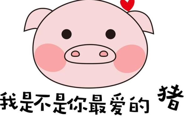 2028年猪年命运分析:财富、爱情与健康的全方位解读 2028年猪年命运分析:财富、爱情与健康的全方位解读
