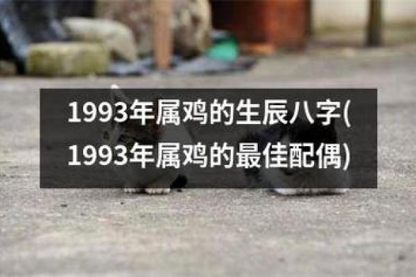 94年属鸡人的命运特点与生活指导