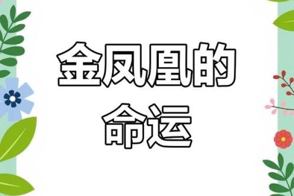 纯阳女命与凤凰命:命理中的灵性象征与人生启示 纯阳女命与凤凰命:命理中的灵性象征与人生启示