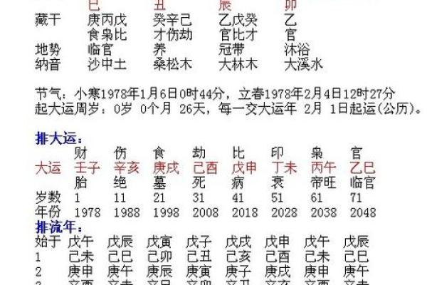 探秘2017火命：缺乏的元素与提升运势的秘诀