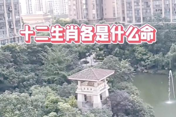 属相与命运：哪个生肖的命最长？