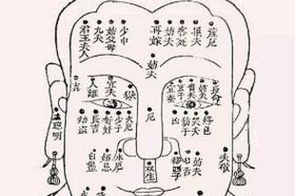 揭秘面相与单身命：你是否注定孤独终老？