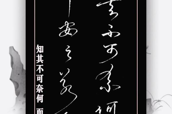 爱钱不爱命，究竟是怎样的心态？探讨财富与生命的抉择