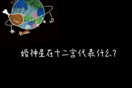 命中注定：揭示哪些宫位花钱效率极高的奥秘