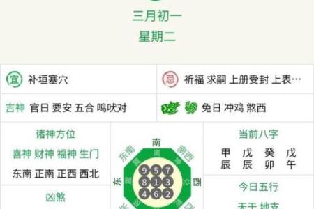 2024年出生宝宝的命运与生肖解析：揭开未来之谜！