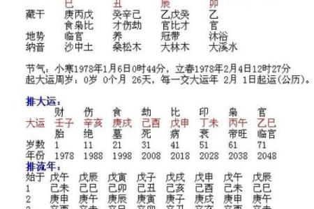 探秘2017火命：缺乏的元素与提升运势的秘诀