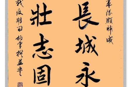 风雨同舟，共克时艰，共筑美好明天的理想与信念