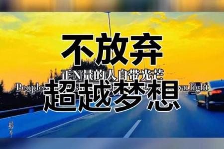 九条命的启示：生命的珍贵与勇敢追梦的意义