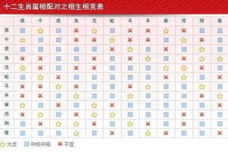 探寻大海水命与富贵命的财富之道：从命理学看五行相生相克