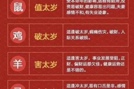 2020年：鼠年的命理解读与人生启示