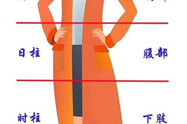 金命概述：属于哪个年份的人，命理中的秘密解读！