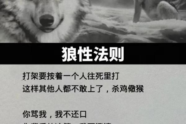 富命格局：掌握命运，改变人生的秘密法则