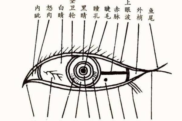 东命西命：探秘命理学中的生克关系与个体命运