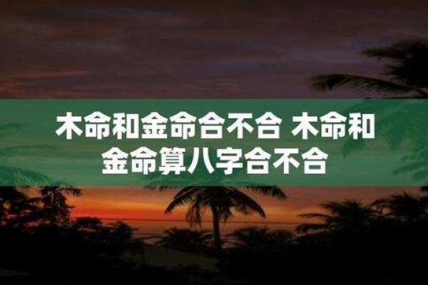 木命与其他命理搭配分析：不配对的缘由与影响