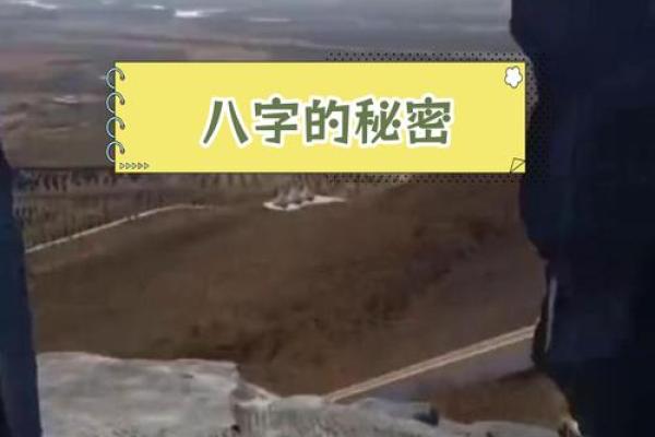 1982年出生的人命运解析：揭示你的命理秘密与人生走向