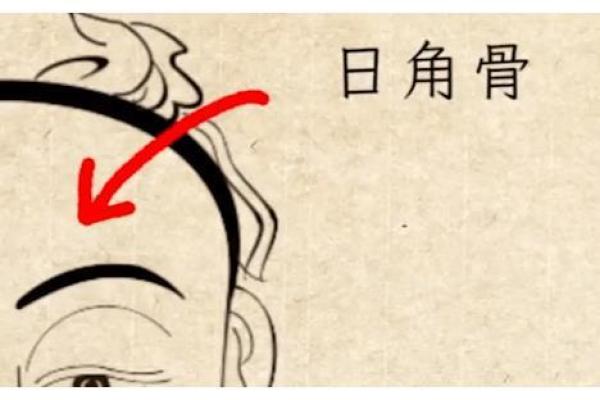 什么骨相是富贵命格:揭示富贵命格的神秘骨相特征 什么骨相是富贵命格:揭示富贵命格的神秘骨相特征