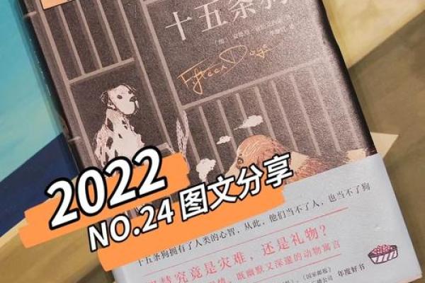 后天改命：掌握人生的秘密钥匙与智慧之道