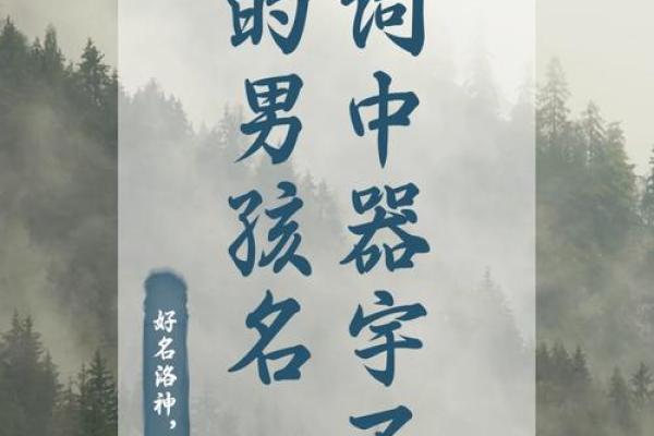 猴年男孩命名解析：赋予孩子智慧与灵动的名字选择