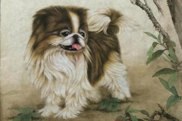 1994年属狗人的命运解析:好兆头与发展之路 1994年属狗人的命运解析:好兆头与发展之路