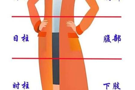 金命概述：属于哪个年份的人，命理中的秘密解读！