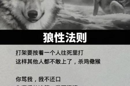 富命格局：掌握命运，改变人生的秘密法则