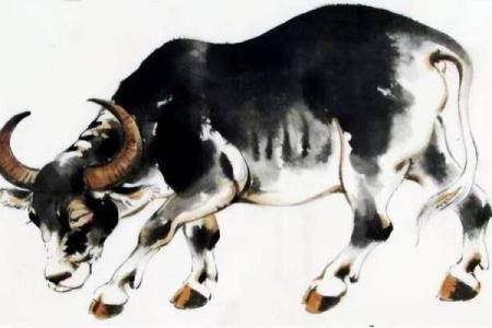 2016年：揭秘牛年命运与运势的奥秘，助你顺风顺水！