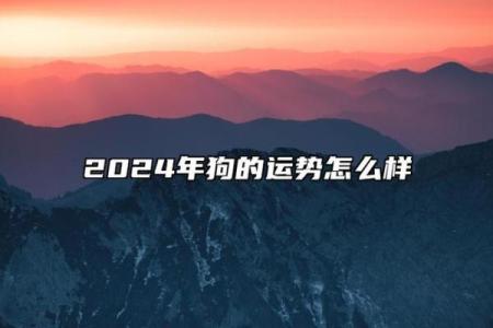 2023年：探索70年生肖与命理的奥秘，助你把握人生财富与机遇！