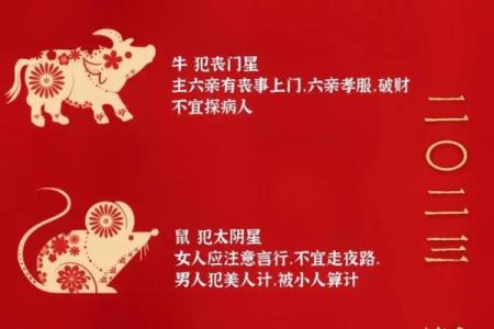 了解1987年生肖与命理：探索兔年的秘密与人生启示