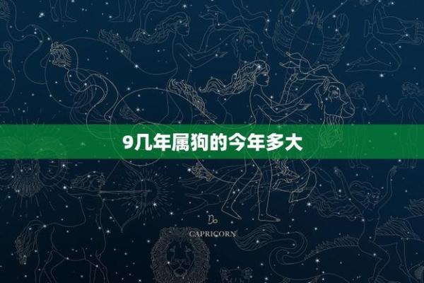 2018年是狗年：探索属狗人的性格特点与命运分析