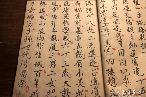 探索命理与术数的奥秘：解锁人生的智慧与潜能