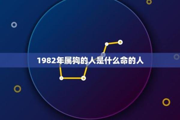2004年属狗的命运解析：探索你的性格与未来