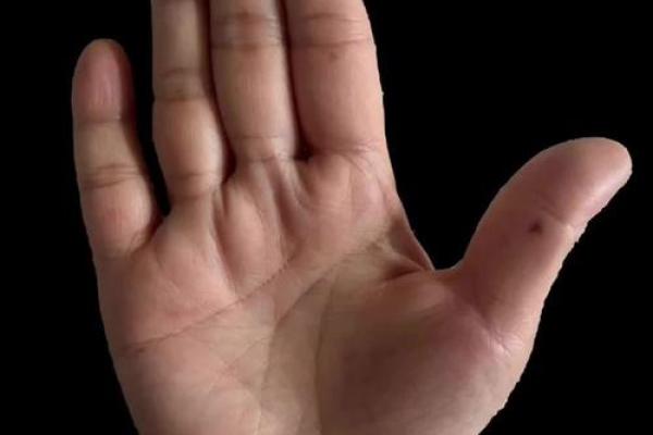 揭示手相之谜:哪些手相的女人最容易贫穷? 揭示手相之谜:哪些手相的女人最容易贫穷?