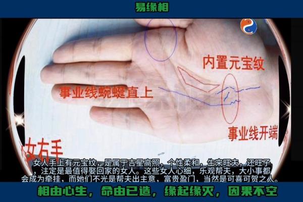 揭示手相之谜:哪些手相的女人最容易贫穷? 揭示手相之谜:哪些手相的女人最容易贫穷?