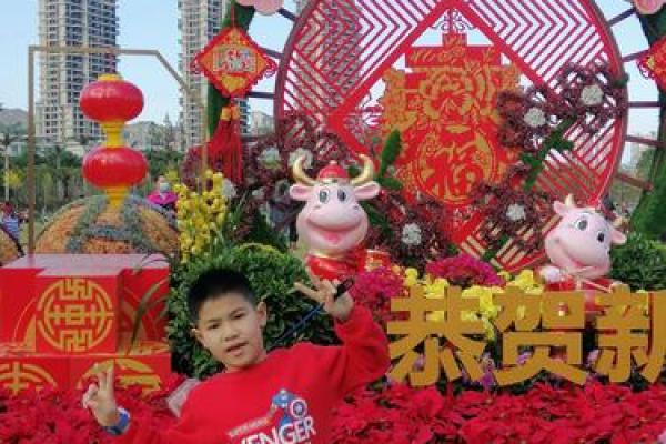 大年初一出生的人命运解析：如何迎接新年的好运与挑战