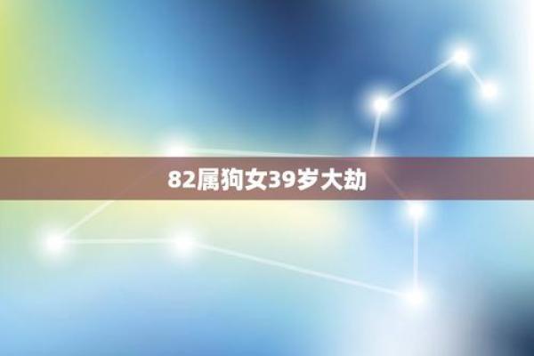2020年属狗之人命运解析:智慧与奋斗的完美结合 2020年属狗之人命运解析:智慧与奋斗的完美结合