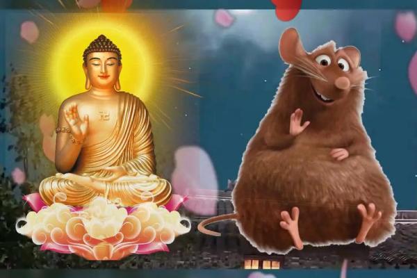 2008年鼠年生人的命运与性格解析:鼠的智慧与机遇结合 2008年鼠年生人的命运与性格解析:鼠的智慧与机遇结合